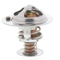 Thermostat Kühlwasser Kühlmittel, Bild 23