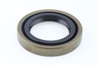 Wellen Dichtring Differential, Bild 1
