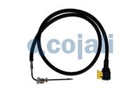 Sensor Abgastemperatur, Bild 1