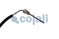 Sensor Abgastemperatur, Bild 3
