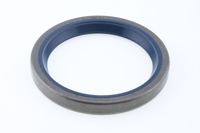 Wellen Dichtring Differential