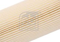 Kraftstofffilter Kraftstoff Filter, Bild 3