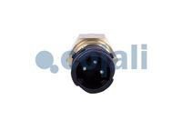 Sensor, Bild 2