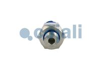 Sensor, Bild 3
