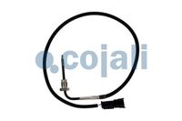 Sensor Abgastemperatur, Bild 1