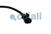 Sensor Abgastemperatur, Bild 2