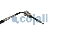 Sensor Abgastemperatur, Bild 3