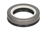Dichtung Differential
