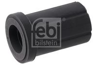 Federbuchs Blattfeder, Bild 2
