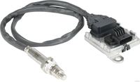 NOx Sensor Katalysator Kat