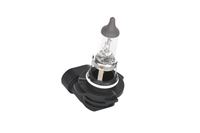Glühlampe Nebelscheinwerfer Scheinwerfer, Bild 15