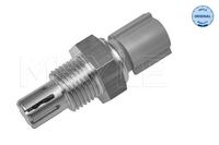 Sensor Ansauglufttemperatur