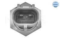 Sensor Ansauglufttemperatur, Bild 2