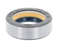 Wellen Dichtring Differential, Bild 1