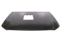 Motorhaube, Bild 1