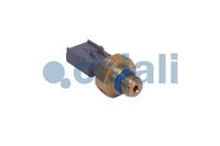 Abgasdrucksensor Differenzdruck, Bild 2