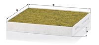 Innenraumfilter Pollenfilter Filter, Bild 2