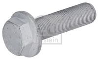 Schraube Bremsscheibe, Bild 1