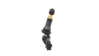 Radsensor Reifendruck Kontrollsystem, Bild 13