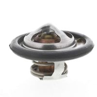 Thermostat Kühlwasser Kühlmittel, Bild 11