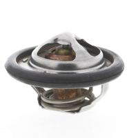 Thermostat Kühlwasser Kühlmittel, Bild 20