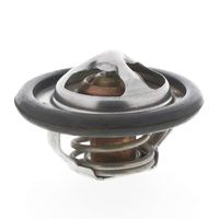 Thermostat Kühlwasser Kühlmittel, Bild 28