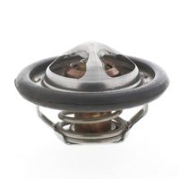 Thermostat Kühlwasser Kühlmittel, Bild 6