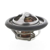 Thermostat Kühlwasser Kühlmittel, Bild 8
