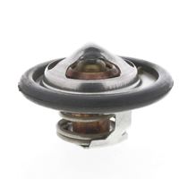 Thermostat Kühlwasser Kühlmittel, Bild 10