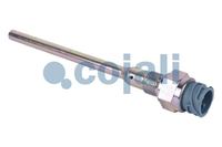 Sensor Öltemperatur druck
