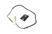 Sensor Abgastemperatur, Bild 1