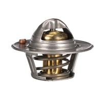 Thermostat Kühlwasser Kühlmittel, Bild 14