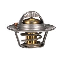 Thermostat Kühlwasser Kühlmittel, Bild 15