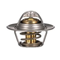 Thermostat Kühlwasser Kühlmittel, Bild 16
