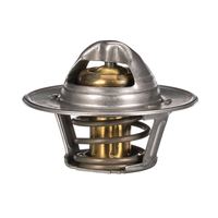 Thermostat Kühlwasser Kühlmittel, Bild 18