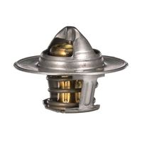 Thermostat Kühlwasser Kühlmittel, Bild 20