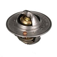Thermostat Kühlwasser Kühlmittel, Bild 31