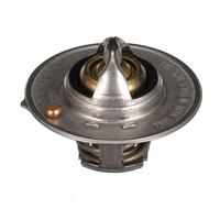 Thermostat Kühlwasser Kühlmittel, Bild 34