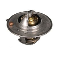 Thermostat Kühlwasser Kühlmittel, Bild 36