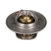 Thermostat Kühlwasser Kühlmittel, Bild 40