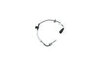 Sensor Abgastemperatur, Bild 38