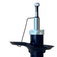 Gas-Stoßdämpfer, Bild 8