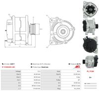 Lichtmaschine Generator, Bild 5