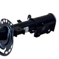 Gas-Stoßdämpfer, Bild 16