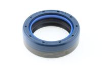 Wellen Dichtring Differential, Bild 1