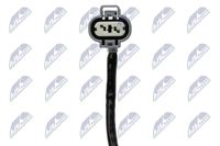 Sensor Abgastemperatur, Bild 3