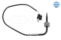 Sensor Abgastemperatur, Bild 1