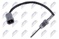 Sensor Abgastemperatur, Bild 1