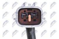 Sensor Abgastemperatur, Bild 3