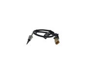 Sensor Abgastemperatur, Bild 1
